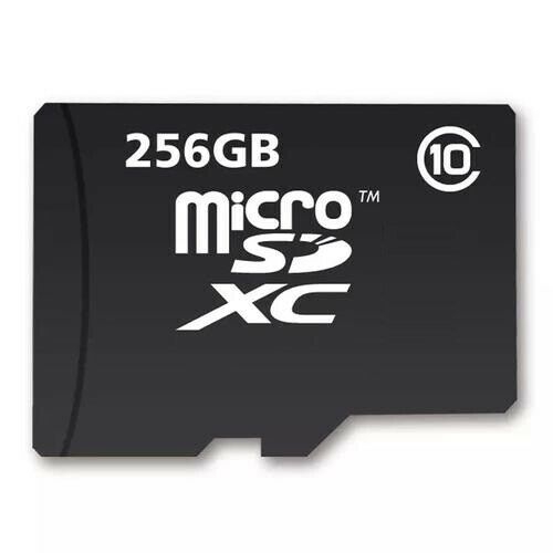 Micro SD Card da 256 GB - Doctorspy