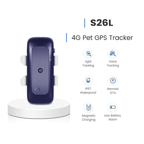 4g pet tracker best sale